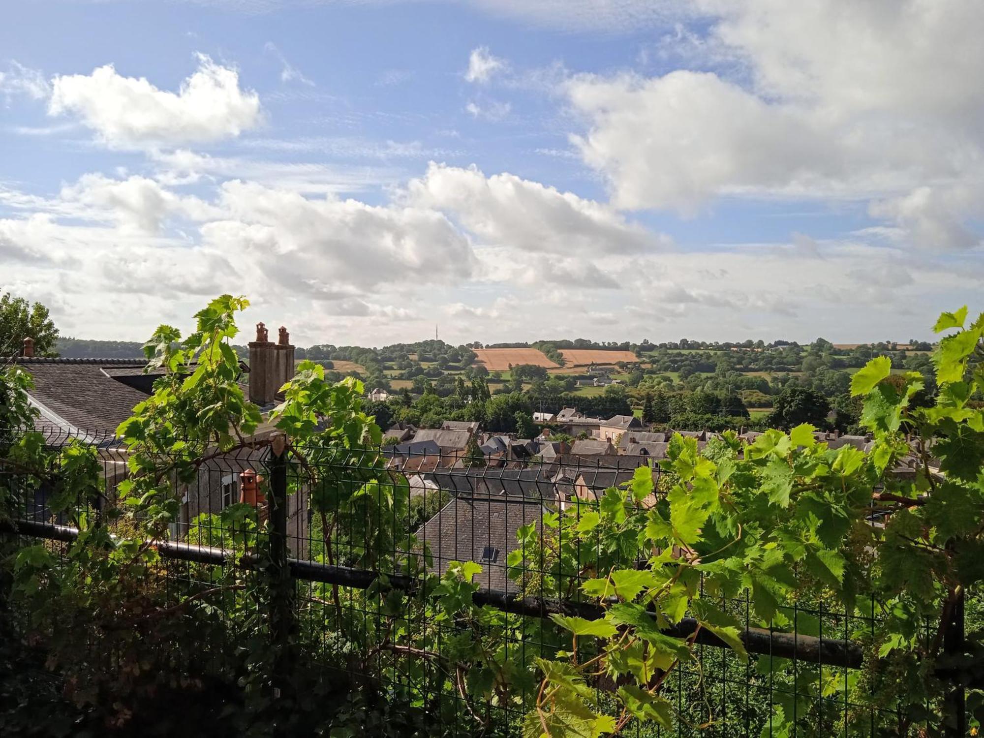 Charming Detached 2 Bedroom Ancient House In Medieval Quarter Of A Small Town In The Pays De La Loire, France Sillé-le-Guillaume Extérieur photo